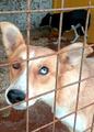 Голубоглазка очень красивая девочка